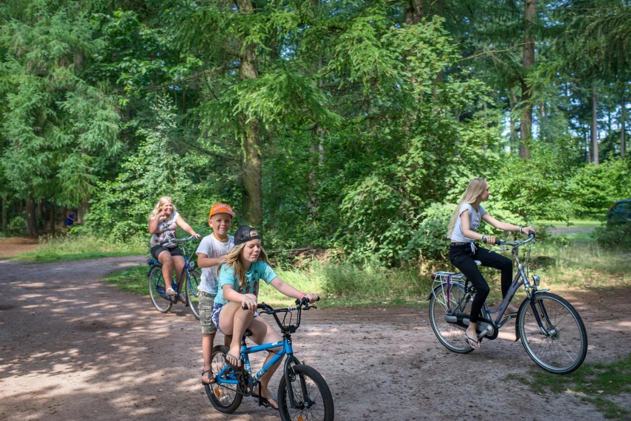 Rcn Vakantiepark De Roggeberg Holiday park Appelscha